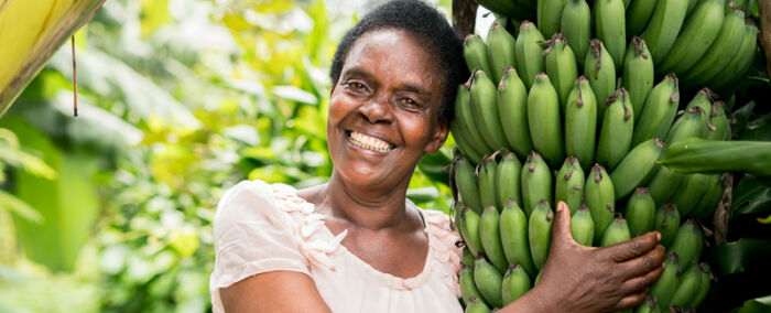 Rwanda - Vi Agroforestry