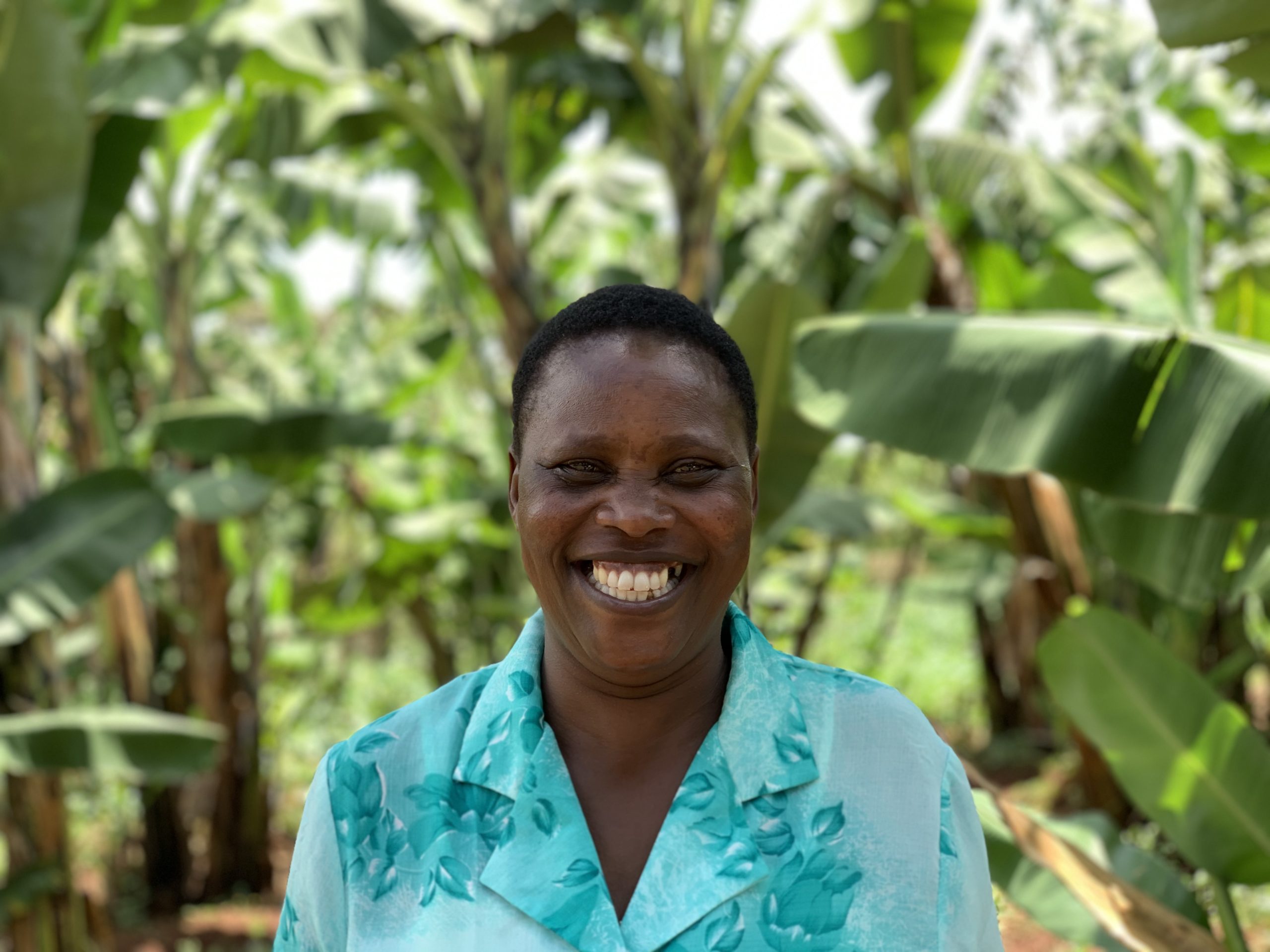 Sustainable Agricultural Land Management practices increase