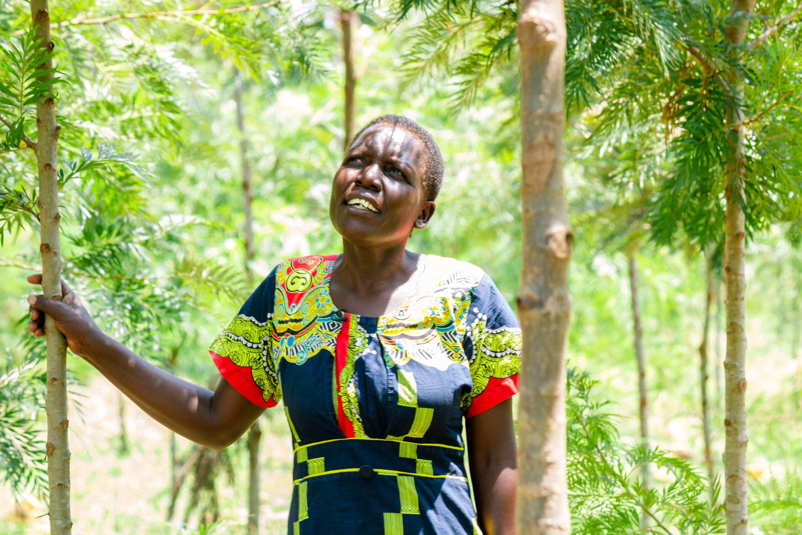 Fighting Poverty And Climate Change Through Agroforestry