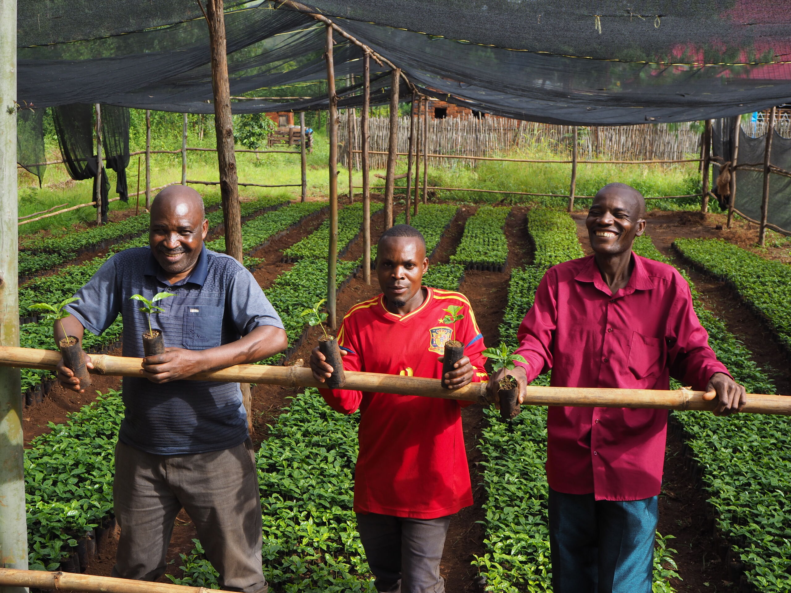 Youth farmers teach older farmers how to set up coffee business - Vi ...